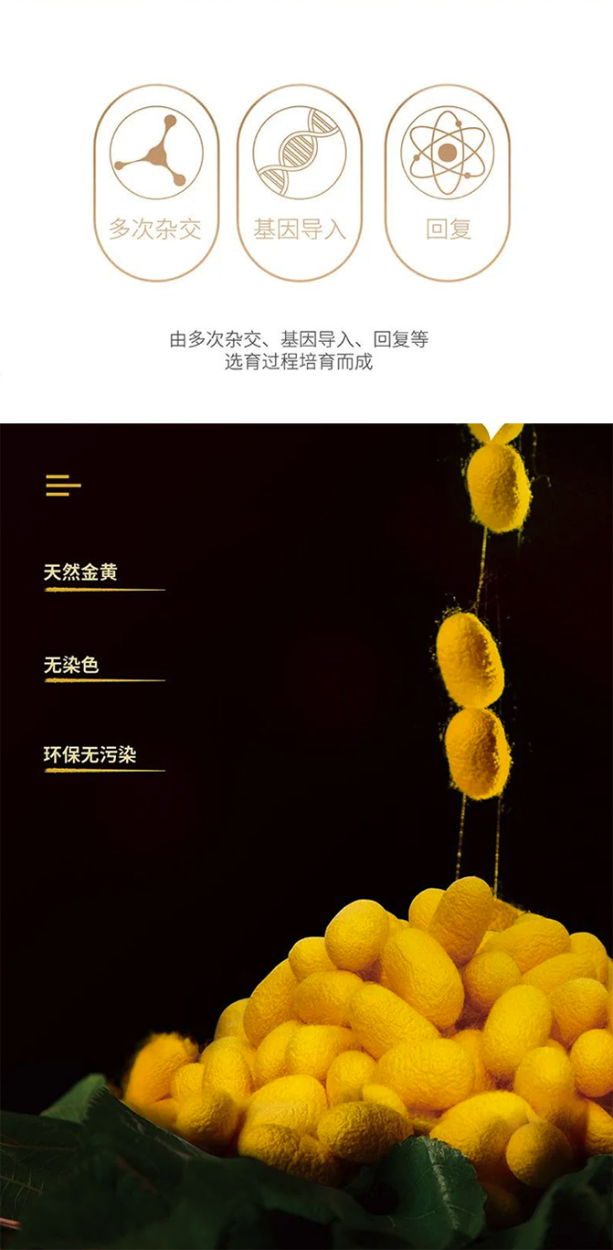 BOMOER鉑縵推薦品牌 X 萬事利黃金枕 專為提升睡眠品質 一觸難忘