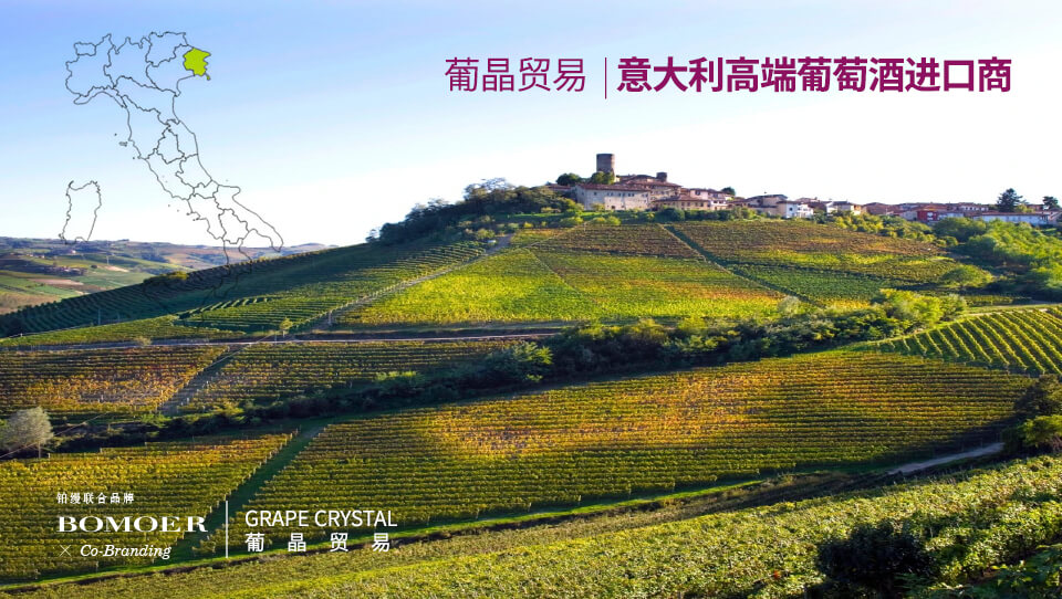 鉑縵聯合品牌 × 意大利高端葡萄酒進口商-葡晶貿易